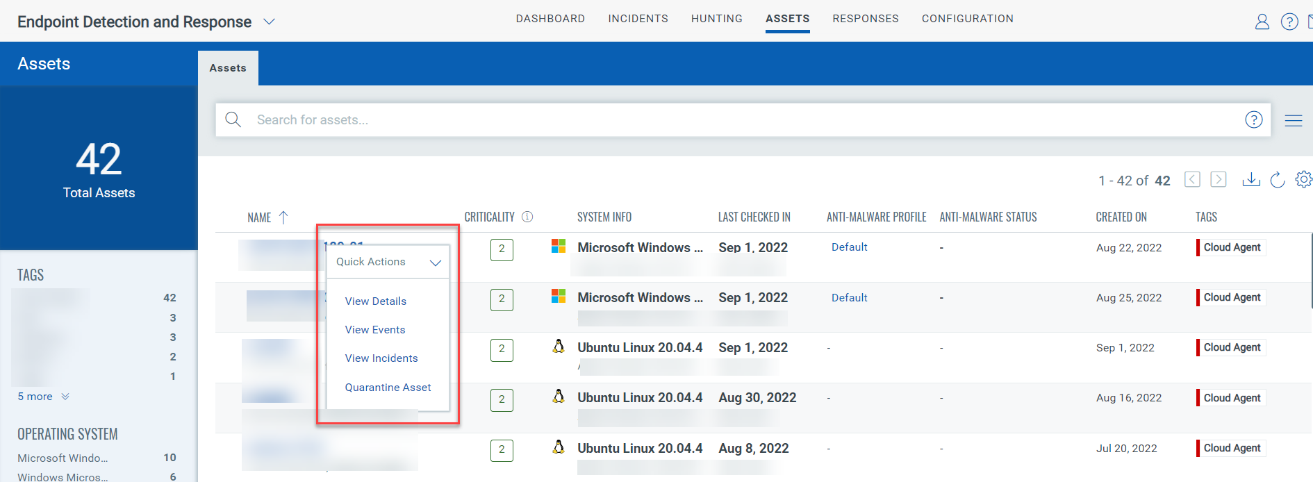 Assets Datalist in Assets tab