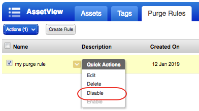 Disable action on purge rules list.