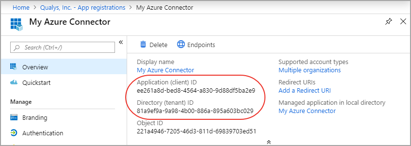 Application Id and Directory ID highlgihted for the application you create.