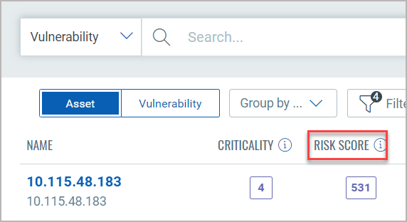 View Asset and Vulnerability Details