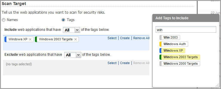 Adding tags to define scan target.
