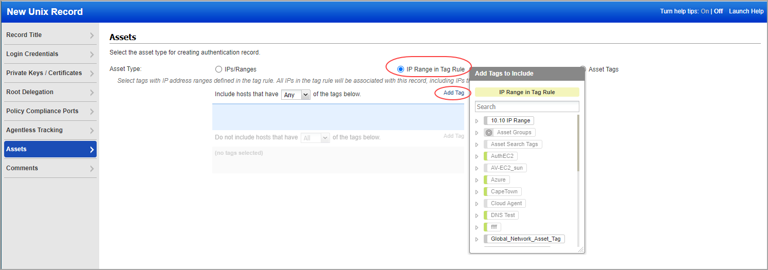 「IP Range in Tag Rule」アセットタイプ