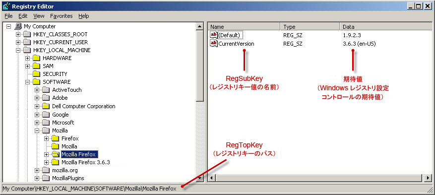 RegSubKey および RegTopKey の値が表示されている Windows レジストリエディターウィンドウ