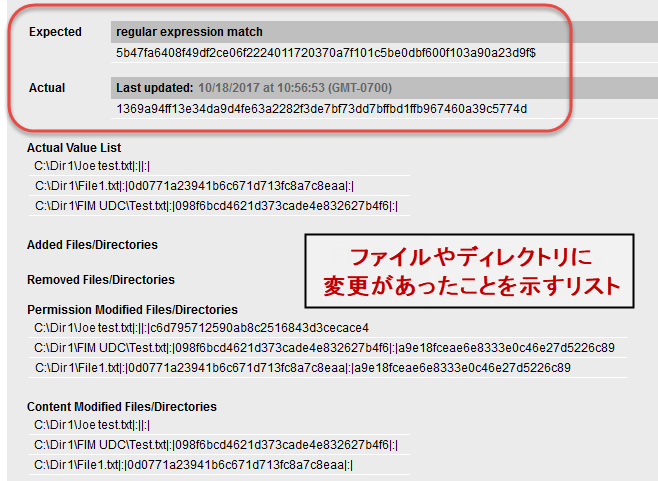 「Directory Integrity Check」が表示されたレポートの例 - 期待値と実際値が一致しない場合（「Fail」）