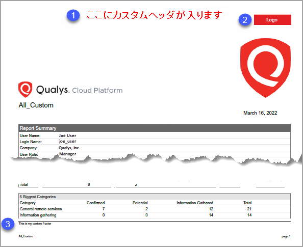 カスタム情報が表示されたレポートの最初のページ