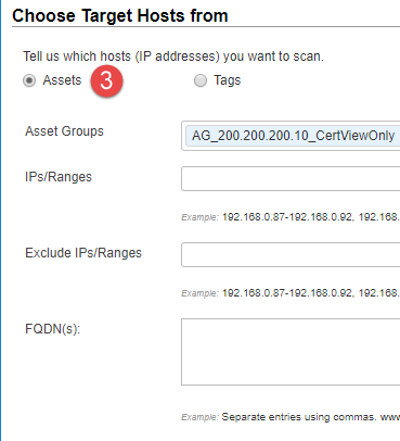 CertView スキャン設定: 「Target Hosts」の「Assets」をクリックします。